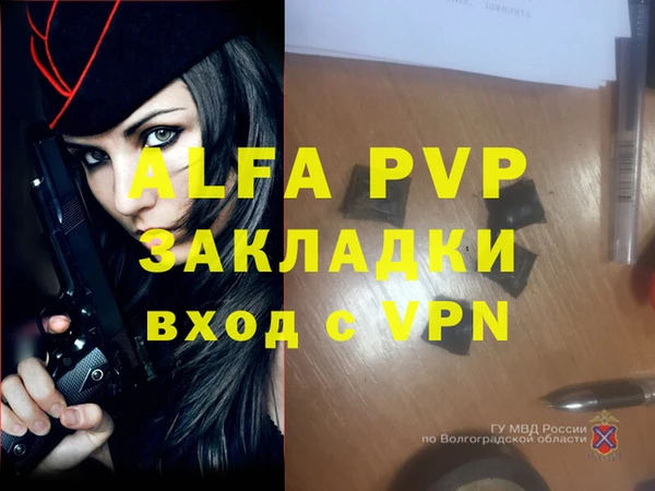 ПСИЛОЦИБИНОВЫЕ ГРИБЫ Вязьма