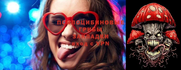 гидра Лабытнанги